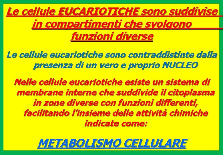 Le cellule EUCARIOTICHE sono suddivise in compartimenti che svolgono funzioni diverse Le cellule eucariotiche