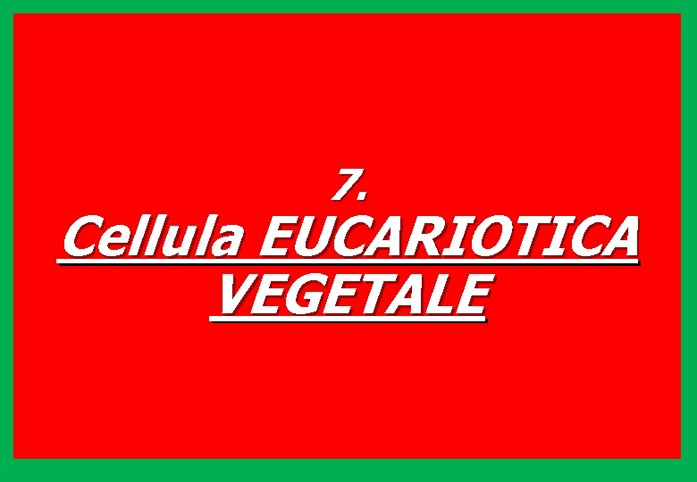 7. Cellula EUCARIOTICA VEGETALE 