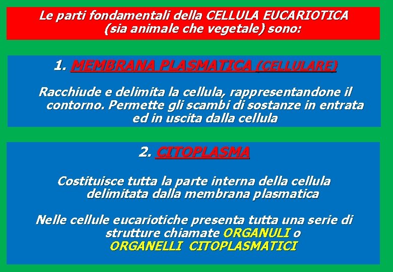 Le parti fondamentali della CELLULA EUCARIOTICA (sia animale che vegetale) sono: 1. MEMBRANA PLASMATICA