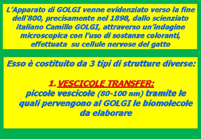 L’Apparato di GOLGI venne evidenziato verso la fine dell'800, precisamente nel 1898, dallo scienziato