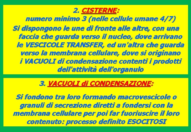 2. CISTERNE: numero minimo 3 (nelle cellule umane 4/7) Si dispongono le une di