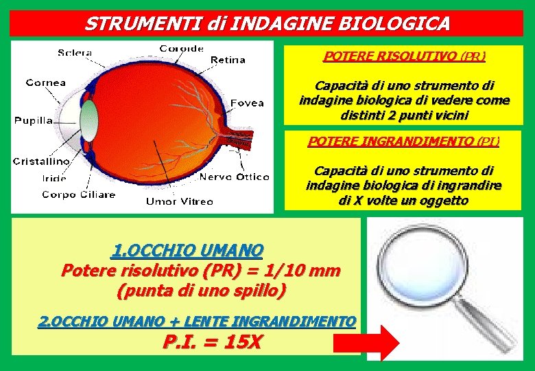 STRUMENTI di INDAGINE BIOLOGICA POTERE RISOLUTIVO (PR) Capacità di uno strumento di indagine biologica