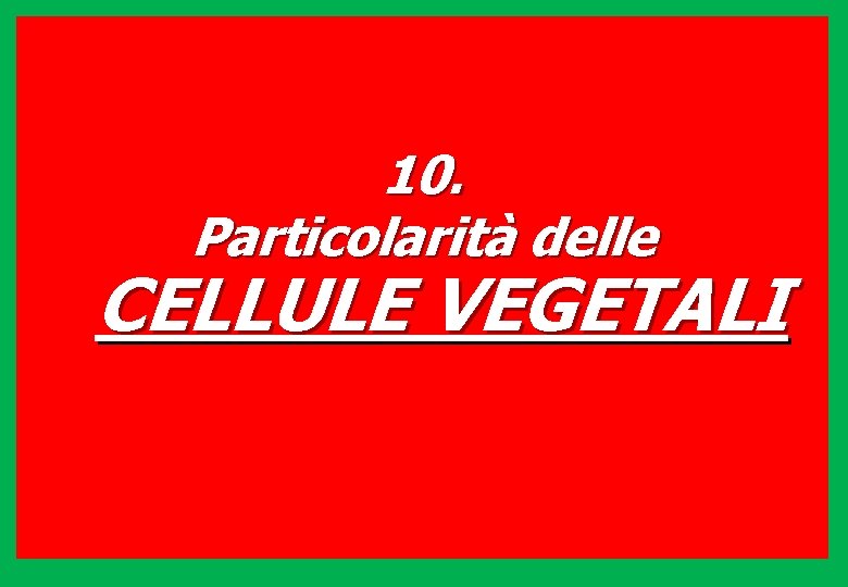 10. Particolarità delle CELLULE VEGETALI 