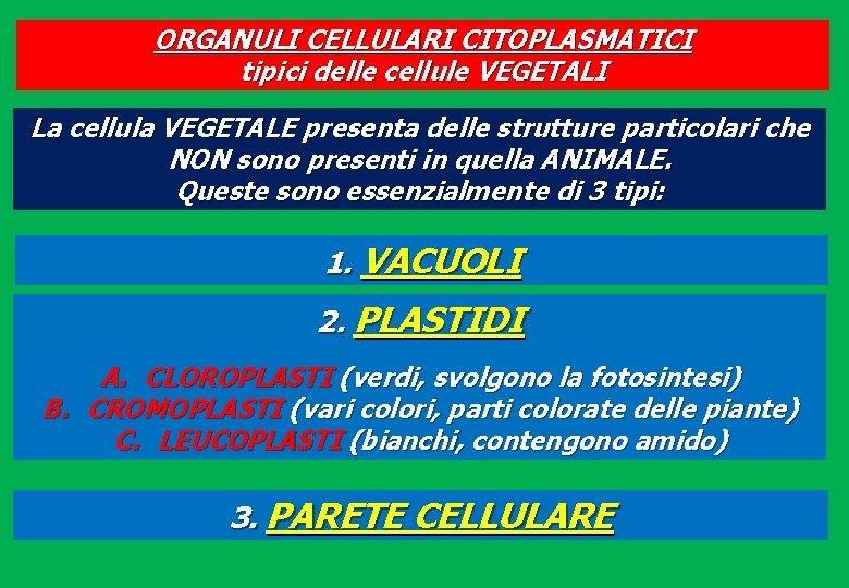 ORGANULI CELLULARI CITOPLASMATICI tipici delle cellule VEGETALI La cellula VEGETALE presenta delle strutture particolari