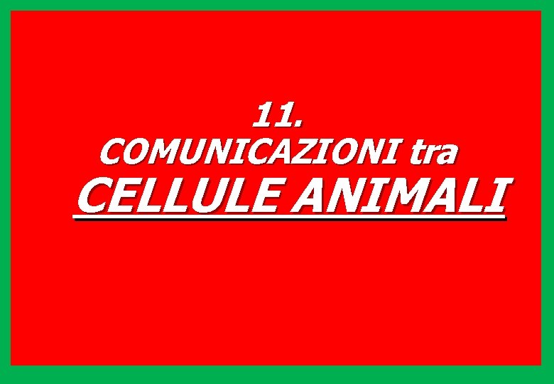 11. COMUNICAZIONI tra CELLULE ANIMALI 