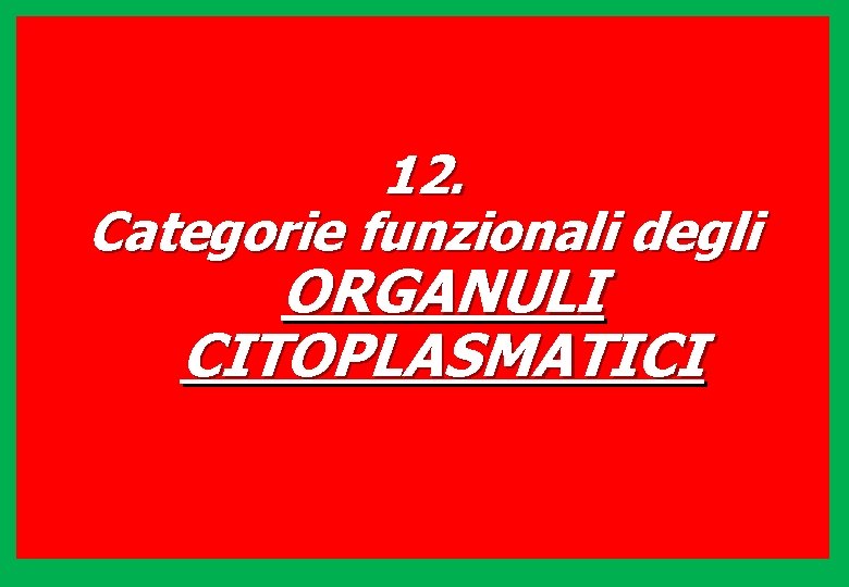 12. Categorie funzionali degli ORGANULI CITOPLASMATICI 