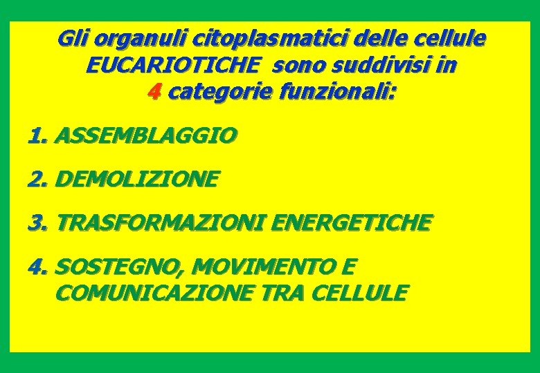 Gli organuli citoplasmatici delle cellule EUCARIOTICHE sono suddivisi in 4 categorie funzionali: 1. ASSEMBLAGGIO
