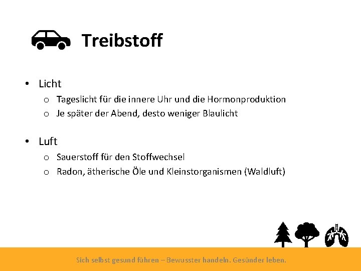 Treibstoff • Licht o Tageslicht für die innere Uhr und die Hormonproduktion o Je