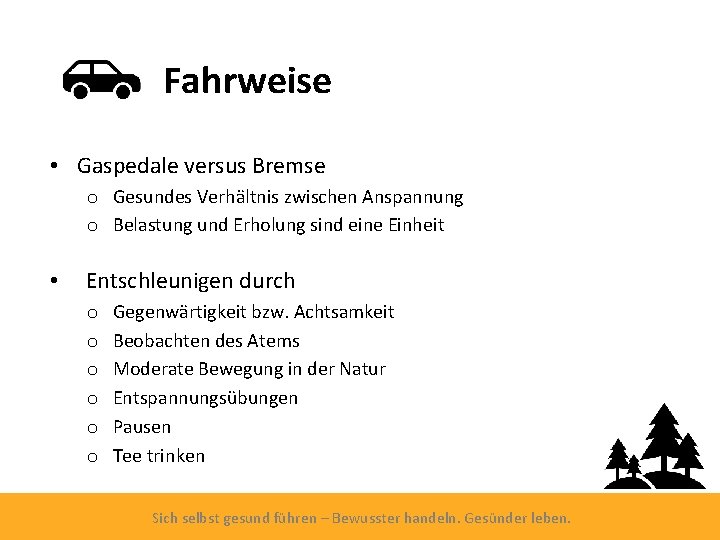 Fahrweise • Gaspedale versus Bremse o Gesundes Verhältnis zwischen Anspannung o Belastung und Erholung