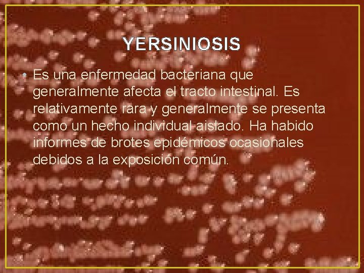 YERSINIOSIS • Es una enfermedad bacteriana que generalmente afecta el tracto intestinal. Es relativamente