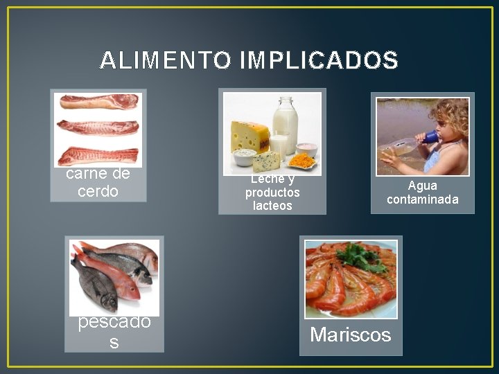 ALIMENTO IMPLICADOS carne de cerdo pescado s Leche y productos lacteos Agua contaminada Mariscos