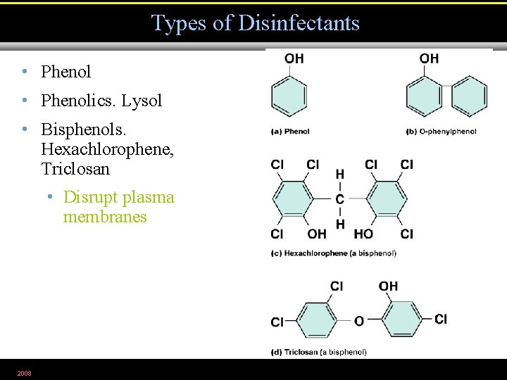 Types of Disinfectants • Phenolics. Lysol • Bisphenols. Hexachlorophene, Triclosan • Disrupt plasma membranes