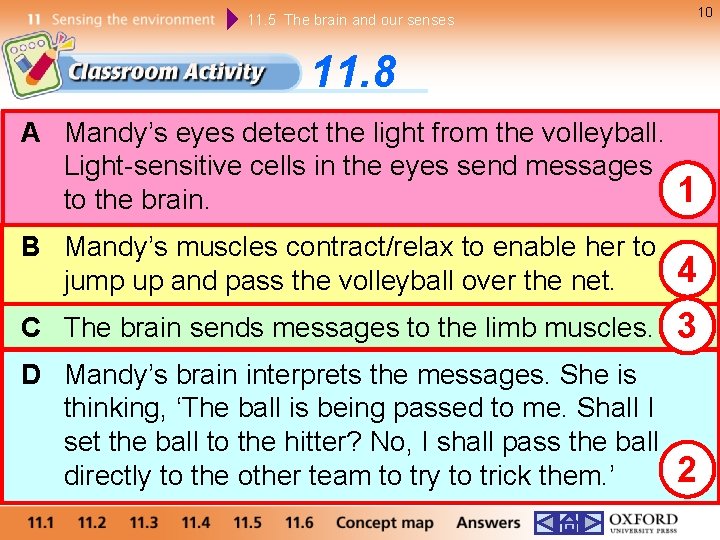 11. 5 The brain and our senses 10 11. 8 A Mandy’s eyes detect