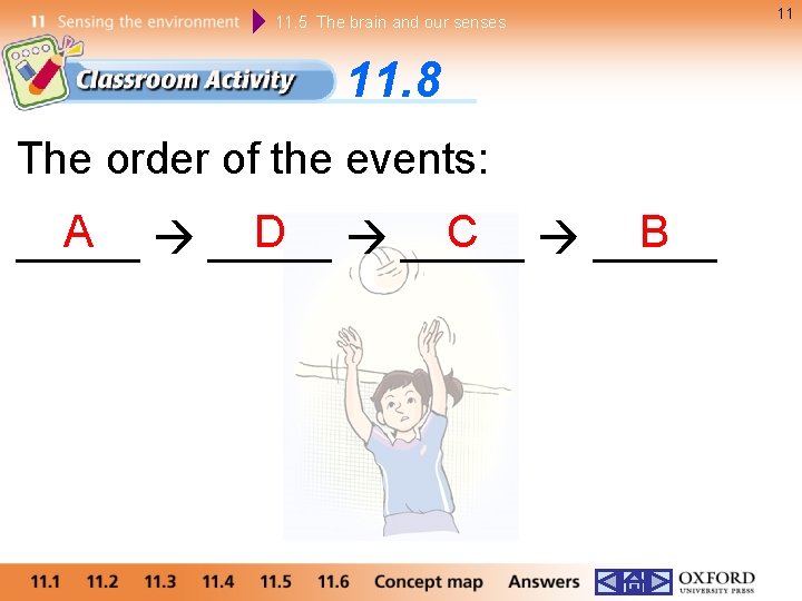 11. 5 The brain and our senses 11. 8 The order of the events: