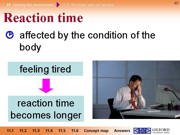 11. 5 The brain and our senses Reaction time affected by the condition of