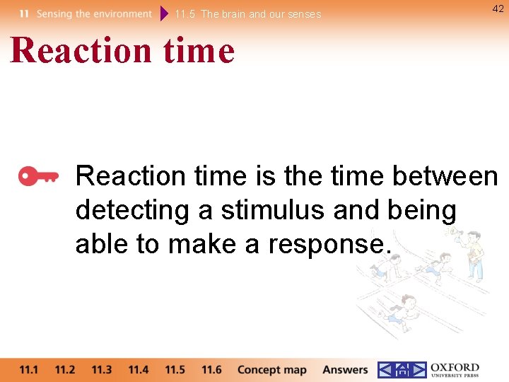 11. 5 The brain and our senses 42 Reaction time is the time between