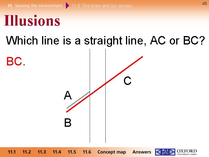 11. 5 The brain and our senses 45 Illusions Which line is a straight