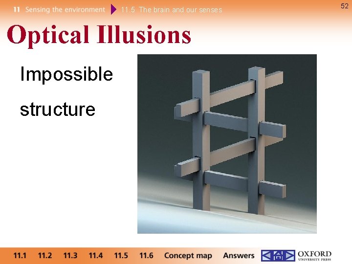 11. 5 The brain and our senses Optical Illusions Impossible structure 52 