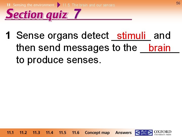 11. 5 The brain and our senses 56 7 1 Sense organs detect _______