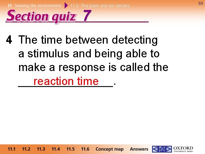 11. 5 The brain and our senses 7 4 The time between detecting a