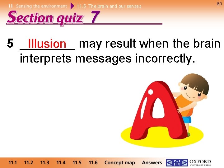 11. 5 The brain and our senses 60 7 5 ____ Illusion may result