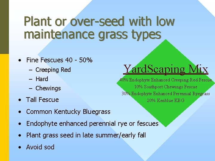 Plant or over-seed with low maintenance grass types • Fine Fescues 40 - 50%