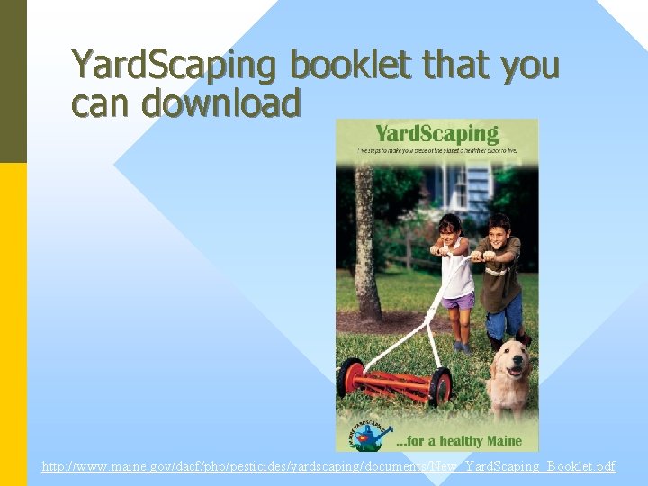 Yard. Scaping booklet that you can download http: //www. maine. gov/dacf/php/pesticides/yardscaping/documents/New_Yard. Scaping_Booklet. pdf 