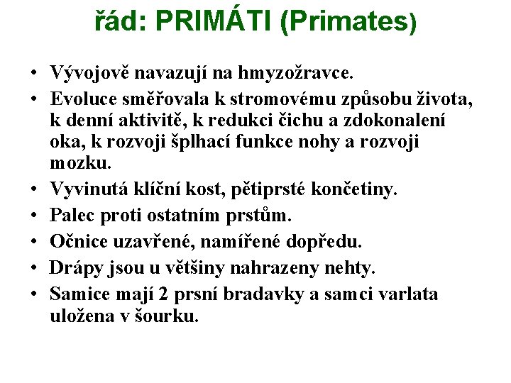 řád: PRIMÁTI (Primates) • Vývojově navazují na hmyzožravce. • Evoluce směřovala k stromovému způsobu