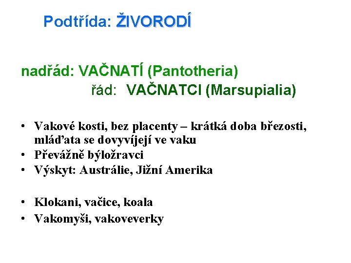 Podtřída: ŽIVORODÍ nadřád: VAČNATÍ (Pantotheria) řád: VAČNATCI (Marsupialia) • Vakové kosti, bez placenty –