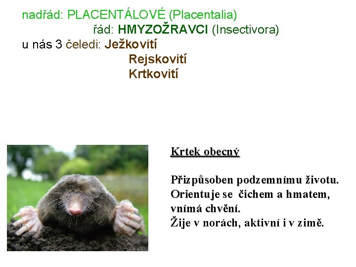 nadřád: PLACENTÁLOVÉ (Placentalia) řád: HMYZOŽRAVCI (Insectivora) u nás 3 čeledi: Ježkovití Rejskovití Krtek obecný