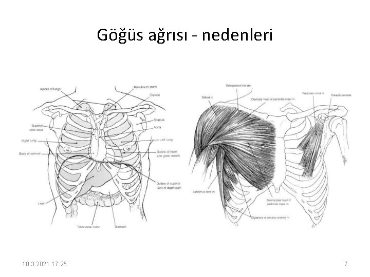 Göğüs ağrısı - nedenleri 10. 3. 2021 17: 25 7 