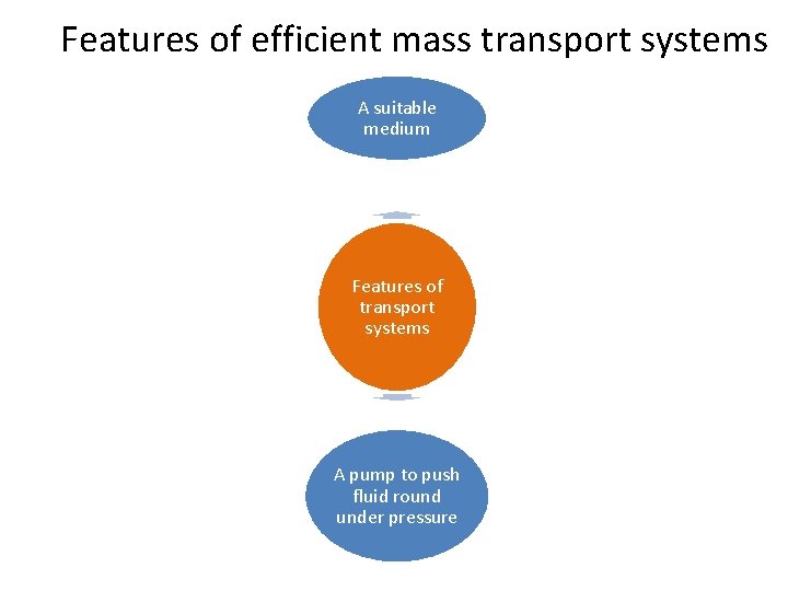 Features of efficient mass transport systems A suitable medium Features of transport systems A Features of efficient mass transport systems A suitable medium Features of transport systems A