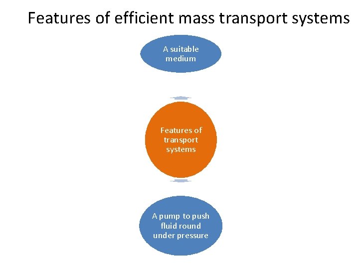 Features of efficient mass transport systems A suitable medium Features of transport systems A