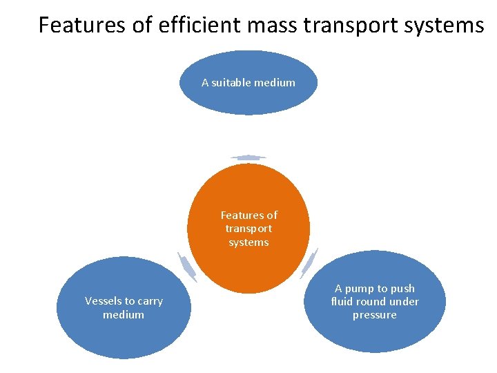 Features of efficient mass transport systems A suitable medium Features of transport systems Vessels