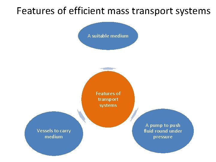 Features of efficient mass transport systems A suitable medium Features of transport systems Vessels Features of efficient mass transport systems A suitable medium Features of transport systems Vessels