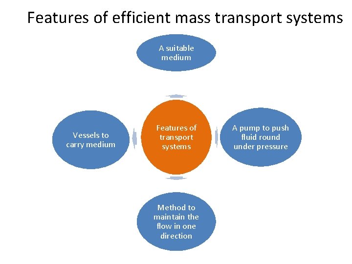 Features of efficient mass transport systems A suitable medium Vessels to carry medium Features