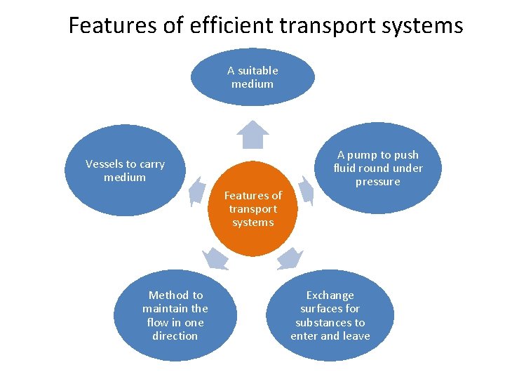 Features of efficient transport systems A suitable medium Vessels to carry medium Features of