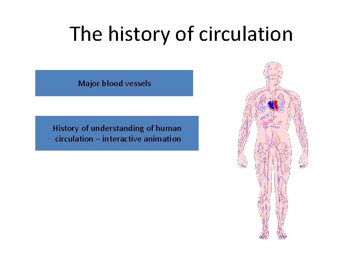 The history of circulation Major blood vessels History of understanding of human circulation –