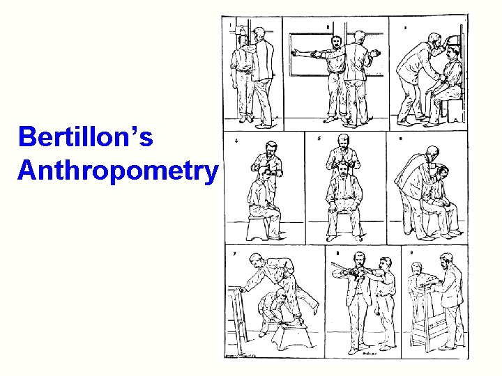 Bertillon’s Anthropometry 