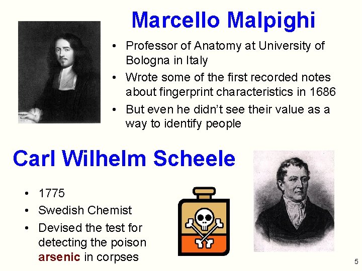 Marcello Malpighi • Professor of Anatomy at University of Bologna in Italy • Wrote