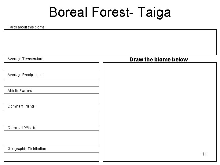 Boreal Forest- Taiga Facts about this biome: Average Temperature Draw the biome below Average