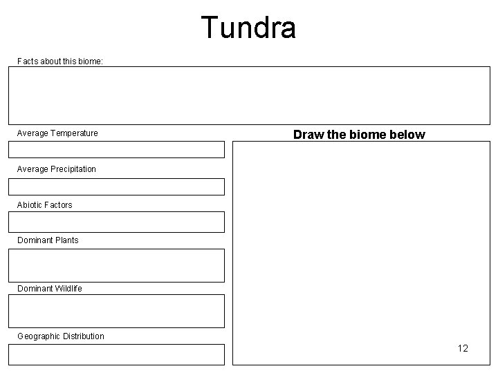 Tundra Facts about this biome: Average Temperature Draw the biome below Average Precipitation Abiotic