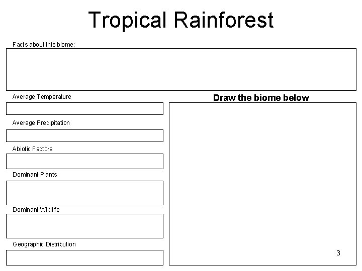 Tropical Rainforest Facts about this biome: Average Temperature Draw the biome below Average Precipitation