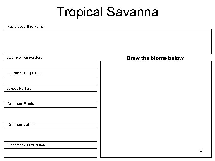 Tropical Savanna Facts about this biome: Average Temperature Draw the biome below Average Precipitation