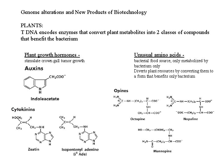 Genome alterations and New Products of Biotechnology PLANTS: T DNA encodes enzymes that convert