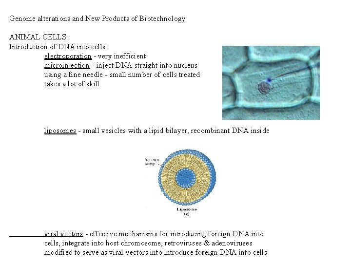 Genome alterations and New Products of Biotechnology ANIMAL CELLS: Introduction of DNA into cells: