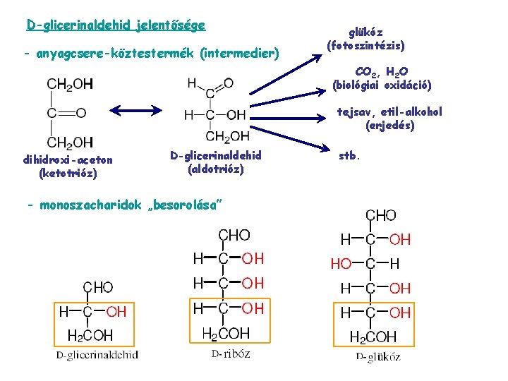 D-glicerinaldehid jelentősége - anyagcsere-köztestermék (intermedier) glükóz (fotoszintézis) CO 2, H 2 O (biológiai oxidáció)