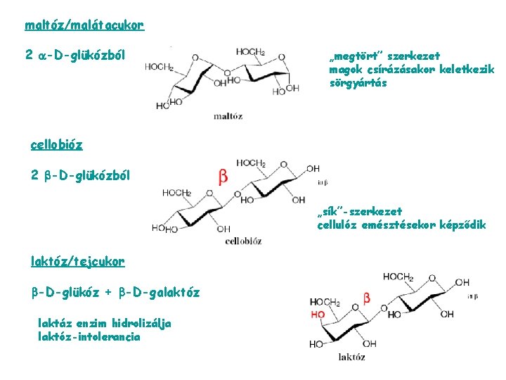 maltóz/malátacukor 2 -D-glükózból „megtört” szerkezet magok csírázásakor keletkezik sörgyártás cellobióz 2 -D-glükózból „sík”-szerkezet cellulóz