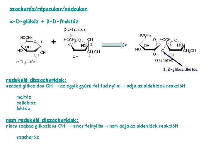 szacharóz/répacukor/nádcukor -D-glükóz + -D-fruktóz + 1, 2 -glikozidkötés redukáló diszacharidok: szabad glikozidos OH →
