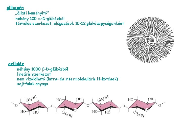 glikogén „állati keményítő” néhány 100 -D-glükózból térhálós szerkezet, elágazások 10 -12 glükózegységenként cellulóz néhány